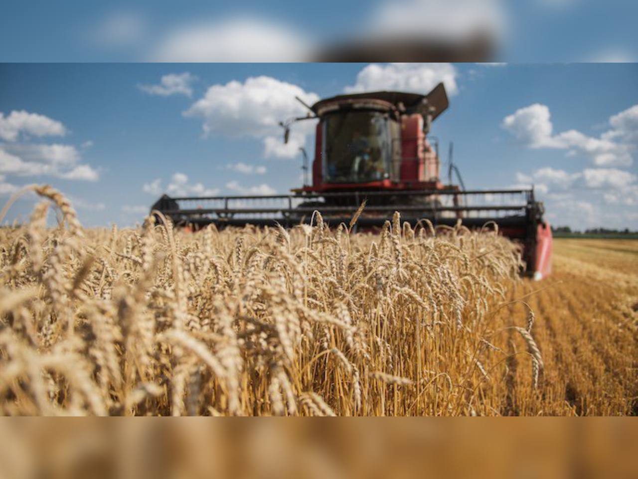 Аграрії Вінниччини активно продовжують жнива - 2025 