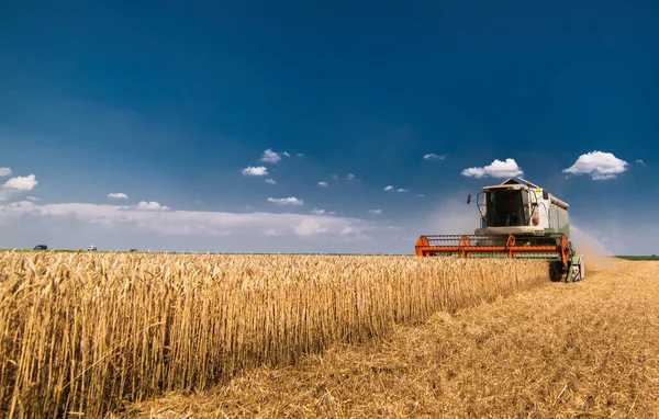 комбайн, що працює на пшеничному полі