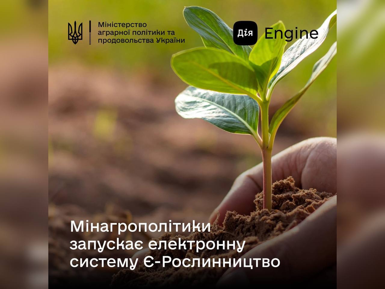 рослина та напис "Міністерство аграрної політики та продовольства України запускає електронну систему Є-Рослинництво"