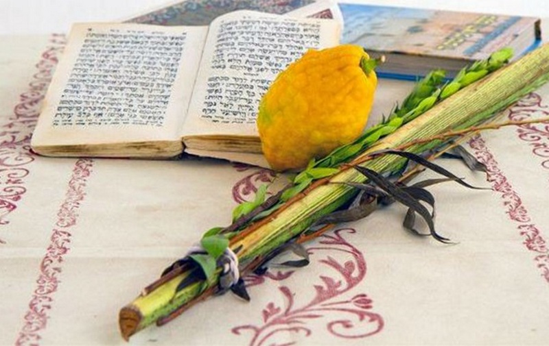 Загальне фото