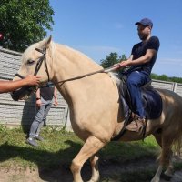 Чоловік під час прогулянки верхи