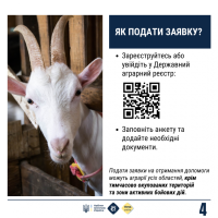 інфографіка