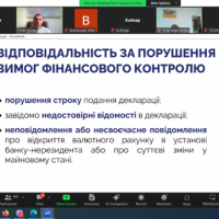 Знімок екрану відеоконференції