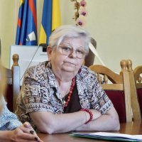 Зустріч Першого заступника Начальника ОВА з представниками організацій