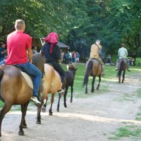 Захисники під час катання верхи