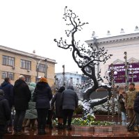 церемонія покладання