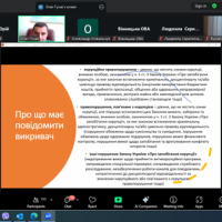 Відеоконференція. Cкріншот. Учасники zoom-конференції. Слайд доповідача.