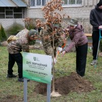 учасники заходу та дерево